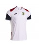 Camiseta paseo 25